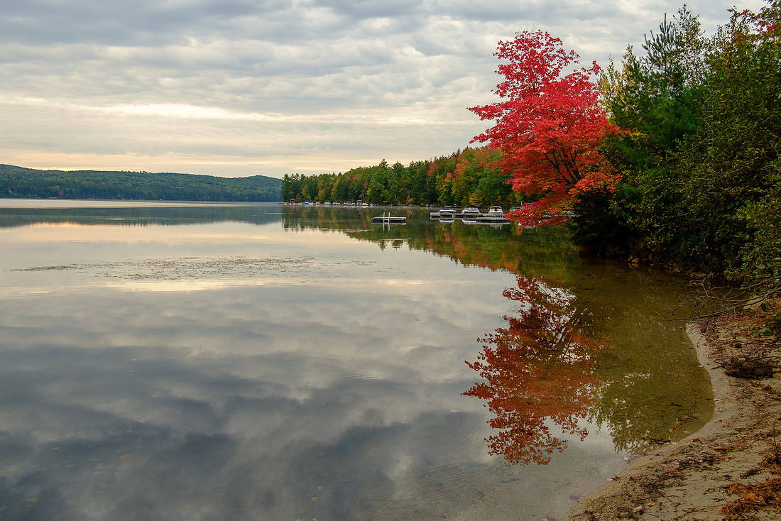 Fiery maple